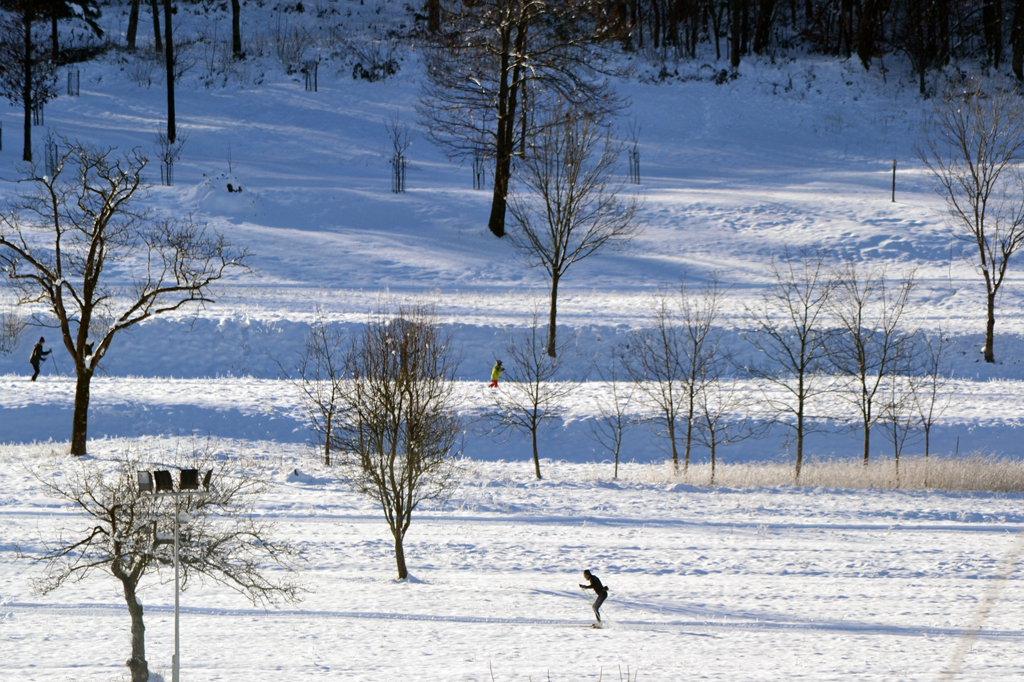 DSC 0620_pro