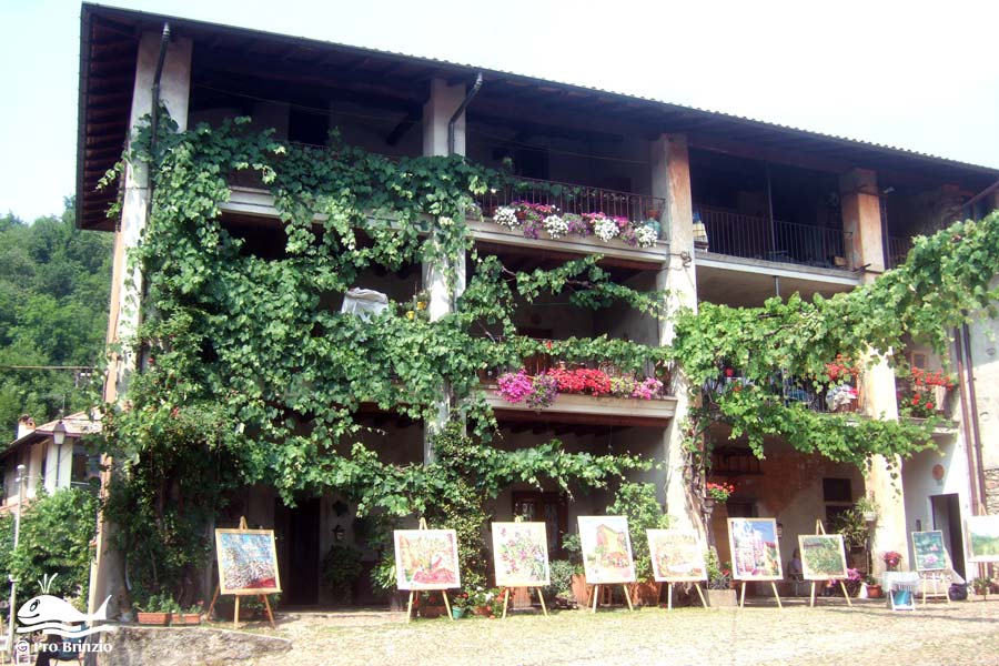 Curt di Badòll in estate curt di badoll 1092