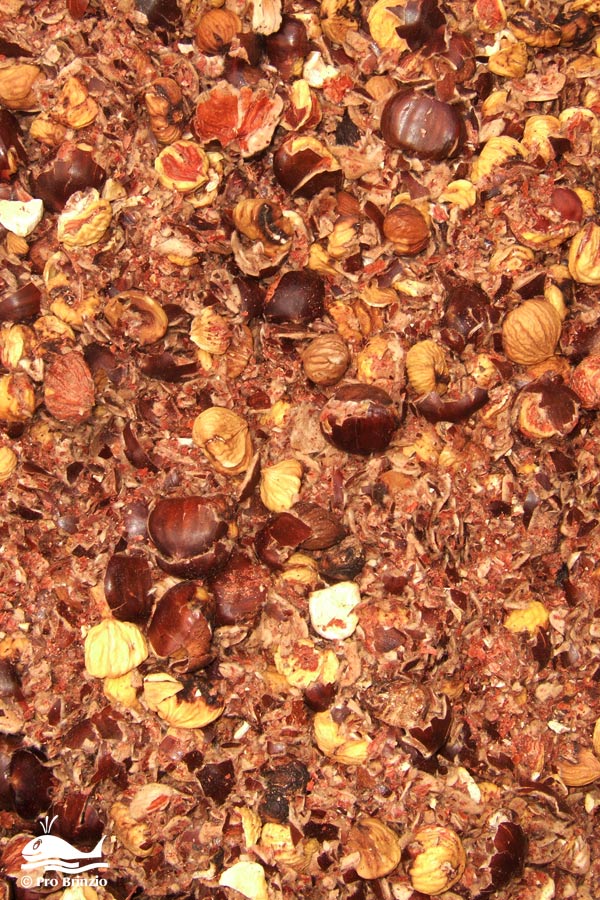 Il risultato della battitura delle castagne gra 4497